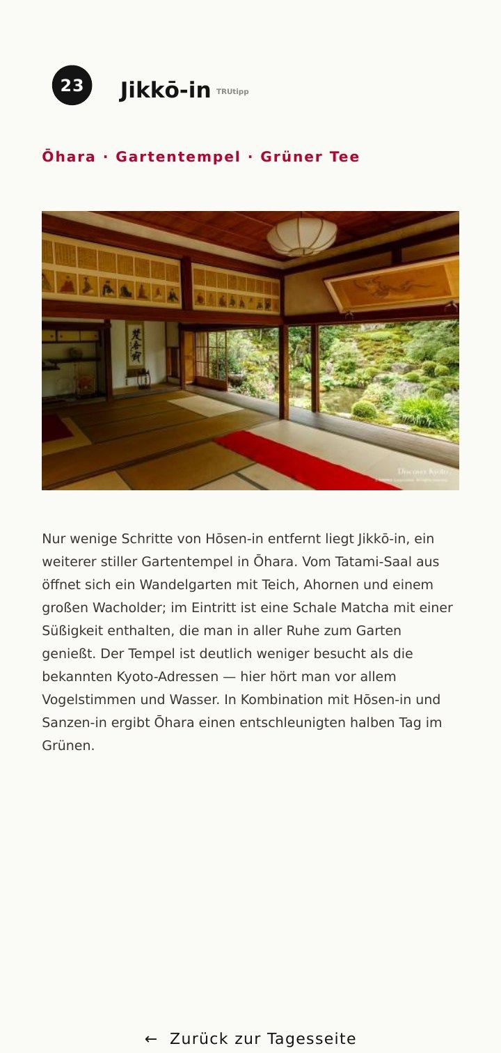 Seite 243